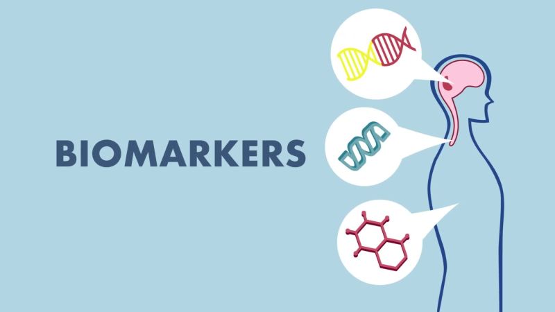 You are currently viewing Biomarker and Longevity: Unlocking the Secrets to a Longer, Healthier Life