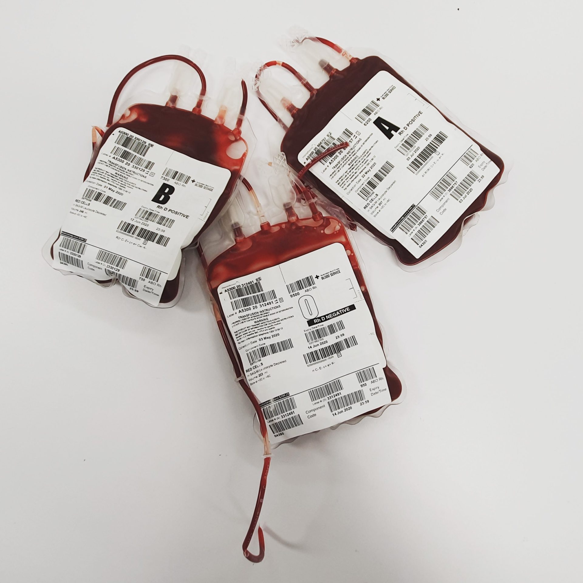 You are currently viewing The Most Common Blood Type: What You Need to Know